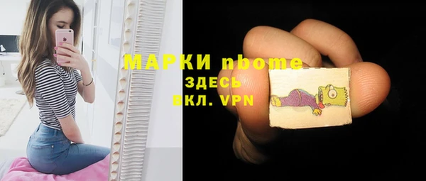 индика Балахна