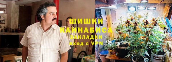 индика Балахна