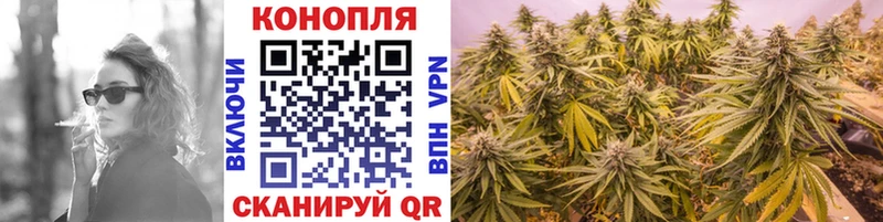 Шишки марихуана план  наркошоп  blacksprut ТОР  Озёры 